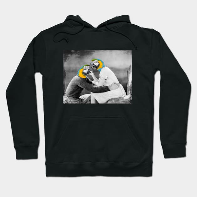 Parrot Love Collage Hoodie by sartworks